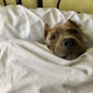 Meet your Posher, Celine